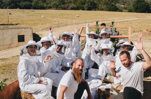 Explorando el mundo de las abejas mallorquinas: Una experiencia única con Mallorca Tailormade